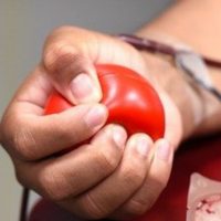 Serviço de Hemoterapia promove Semana do Doador de Sangue